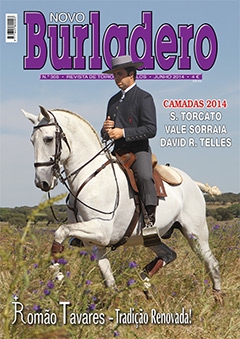 Revista Novo Burladero Nº 305 Junho de 2014