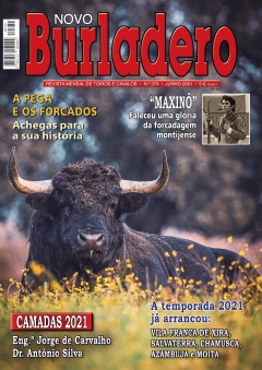 Revista Novo Burladero Nº 379 Junho de 2021