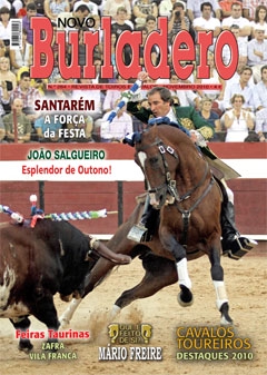 Revista Novo Burladero Nº 264 Novembro de 2010