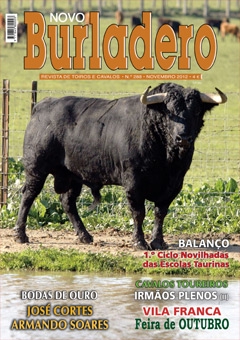 Revista Novo Burladero Nº 288 Novembro 2012