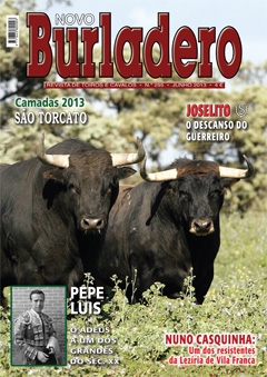 Revista Novo Burladero Nº 295 Junho 2013