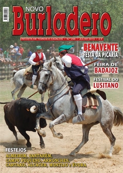 Revista Novo Burladero Nº 296 Julho 2013