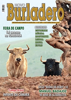 Revista Novo Burladero Nº 299 Outubro 2013