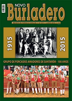 Revista Novo Burladero Nº 317 Junho de 2015