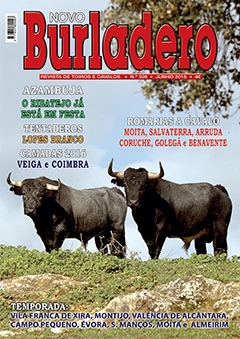Revista Novo Burladero Nº 328 Junho 2016