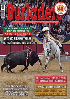 Revista Novo Burladero Nº 356 Novembro de 2018