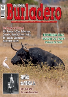 Revista Novo Burladero Nº 391 Junho 2022